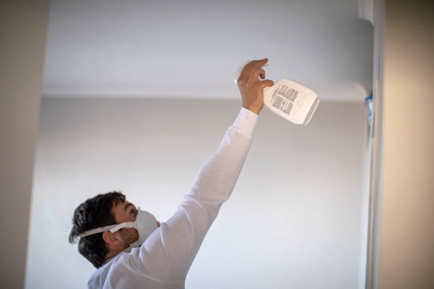 Best Office Mold Removal Services  in Rutherford, TN