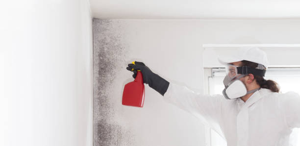 Best Mold Testing  in Rutherford, TN