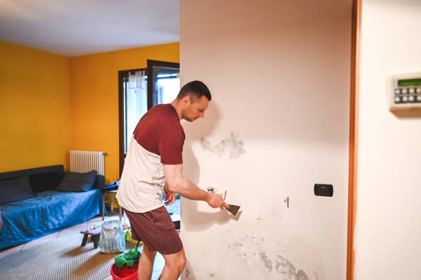 Best Mold Removal Near Me  in Rutherford, TN